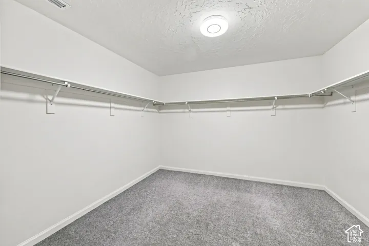 Walk-in closet featuring neutral carpeting, white walls, wraparound shelving, and a central ceiling-mounted light fixture