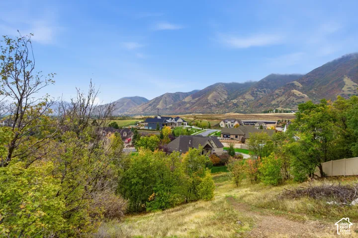 2591 S Lookout Ridge Dr, Mapleton, Utah 84664