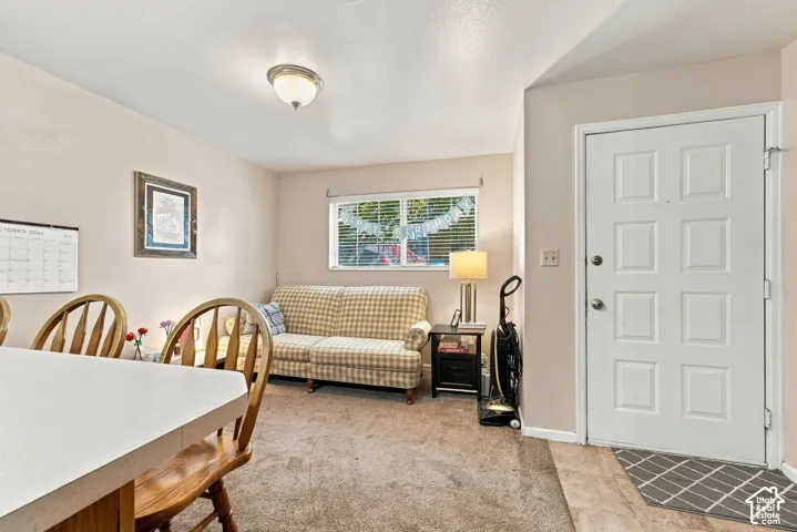 White six-panel entry door with brass hardware, neutral carpeting, and a flush-mount ceiling fixture