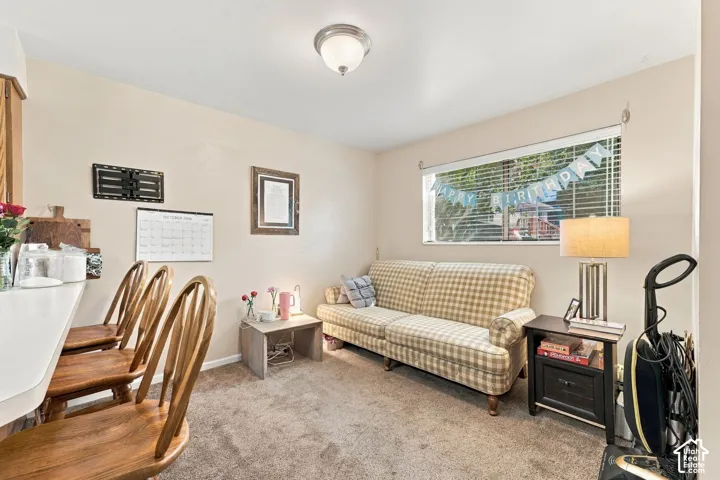 Carpeted room featuring a wide horizontal window, neutral wall paint, and a central ceiling-mounted flush light fixture