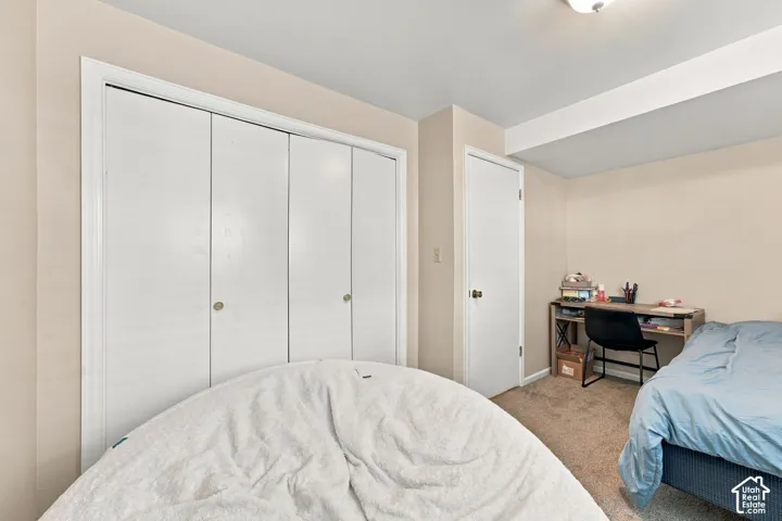 Neutral-toned room featuring wall-to-wall carpeting, expansive quad-panel closet doors, and an additional interior entry door with brushed metal hardware