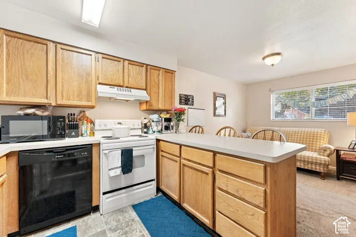 Kitchen featuring oak-finish cabinetry, a white electric range, a black dishwasher, and a peninsula countertop