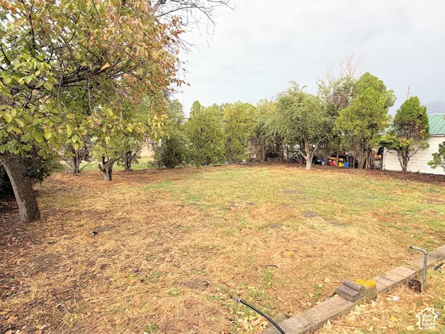 Expansive backyard featuring mature trees, perimeter shrubbery, and a concrete masonry retaining wall