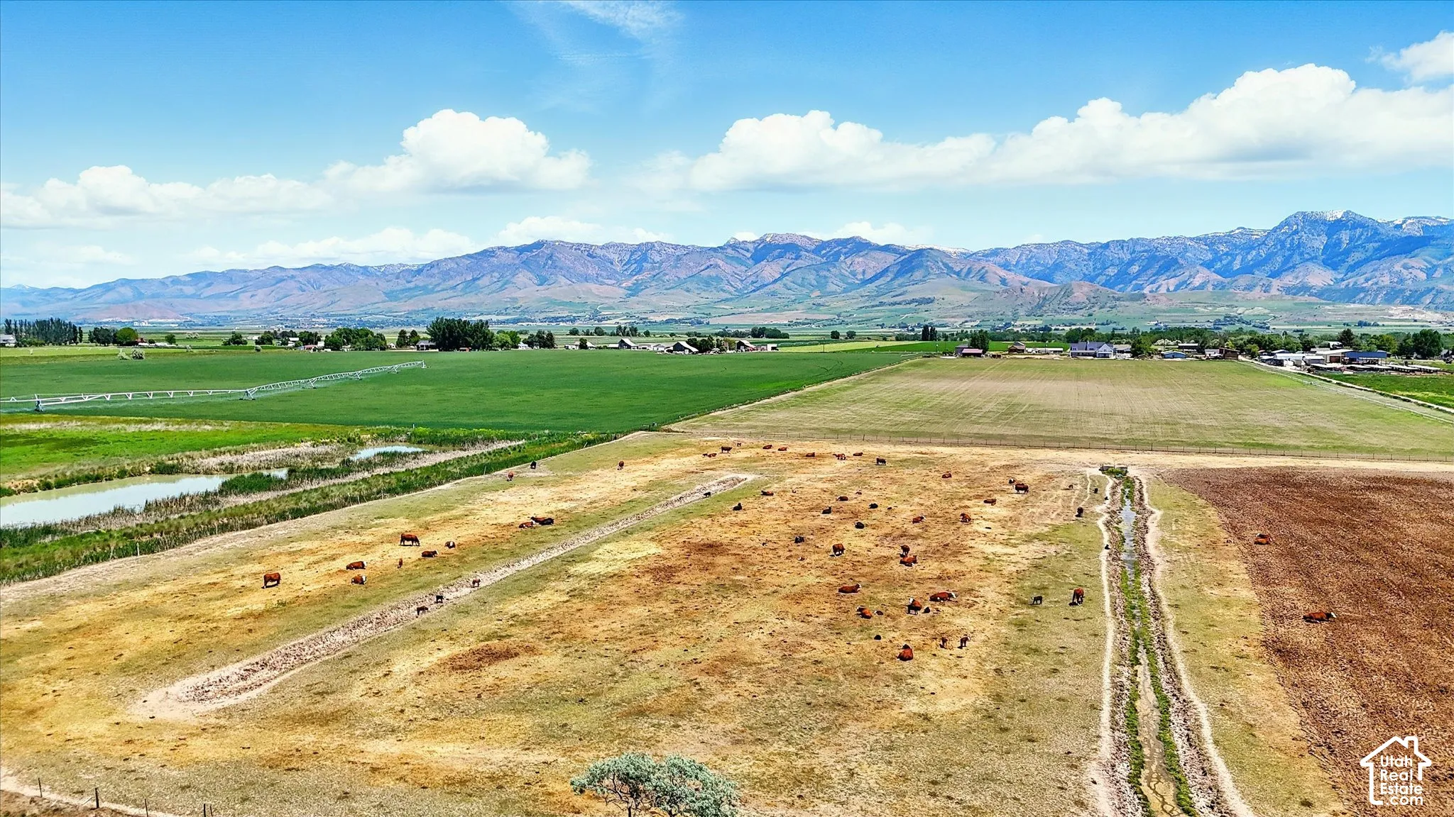 Expansive acreage featuring open pastureland, natural water channels, and prominent mountain range backdrop