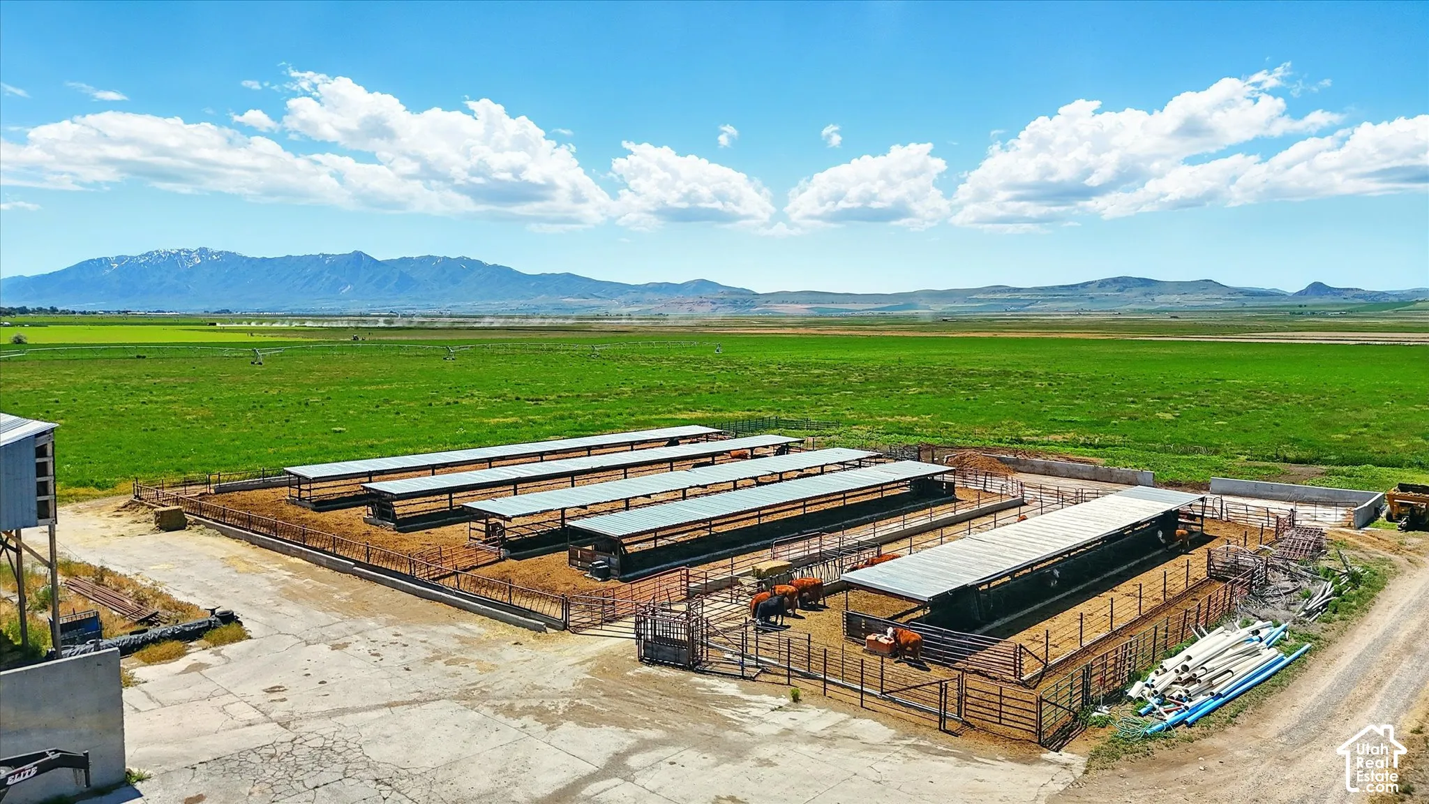 Agricultural grounds featuring extensive metal-roofed livestock shelters, fenced holding pens, paved concrete aprons, and mountain terrain backdrops