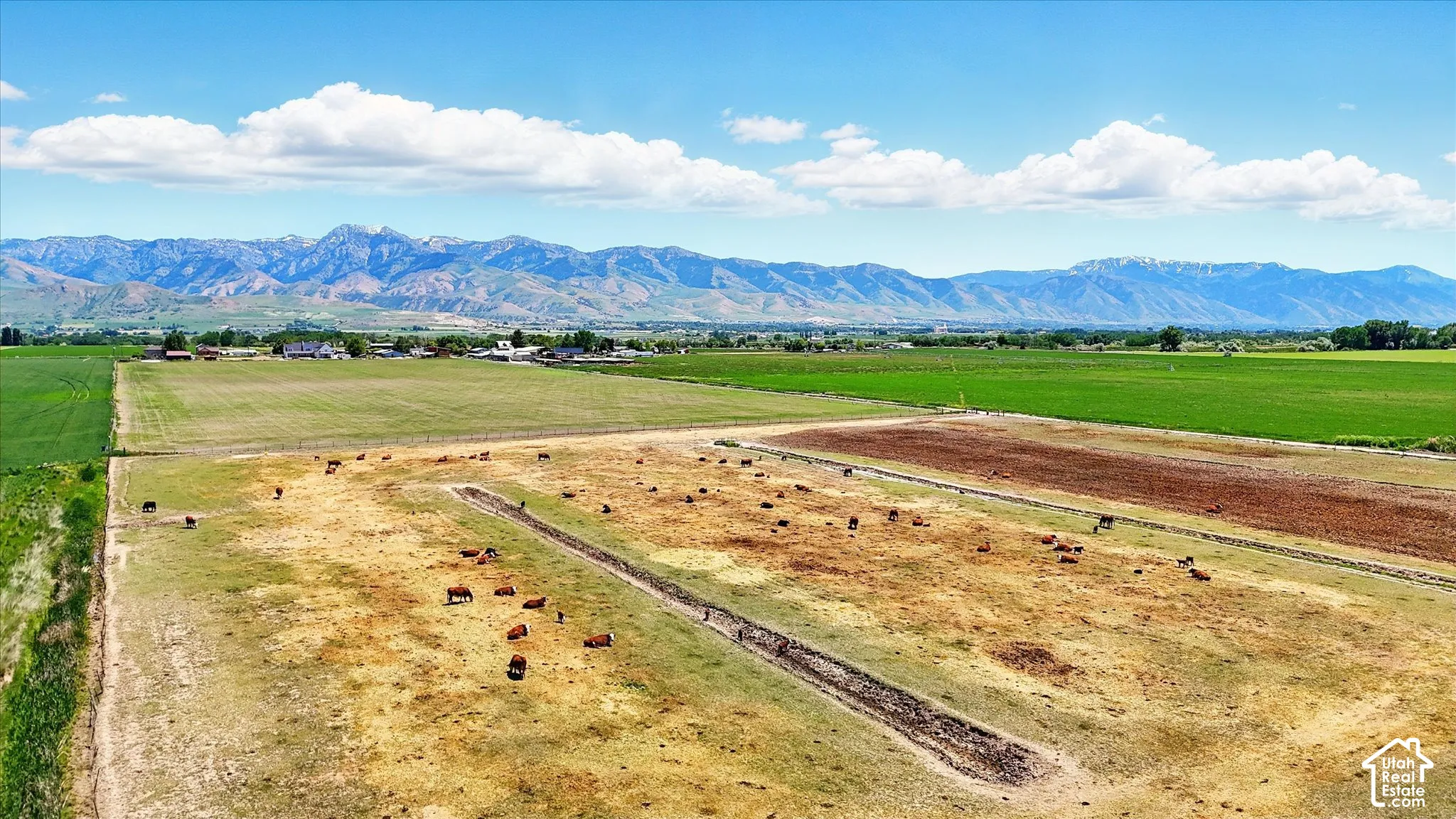 Expansive acreage featuring open pastureland, natural irrigation channels, and prominent mountain range backdrop