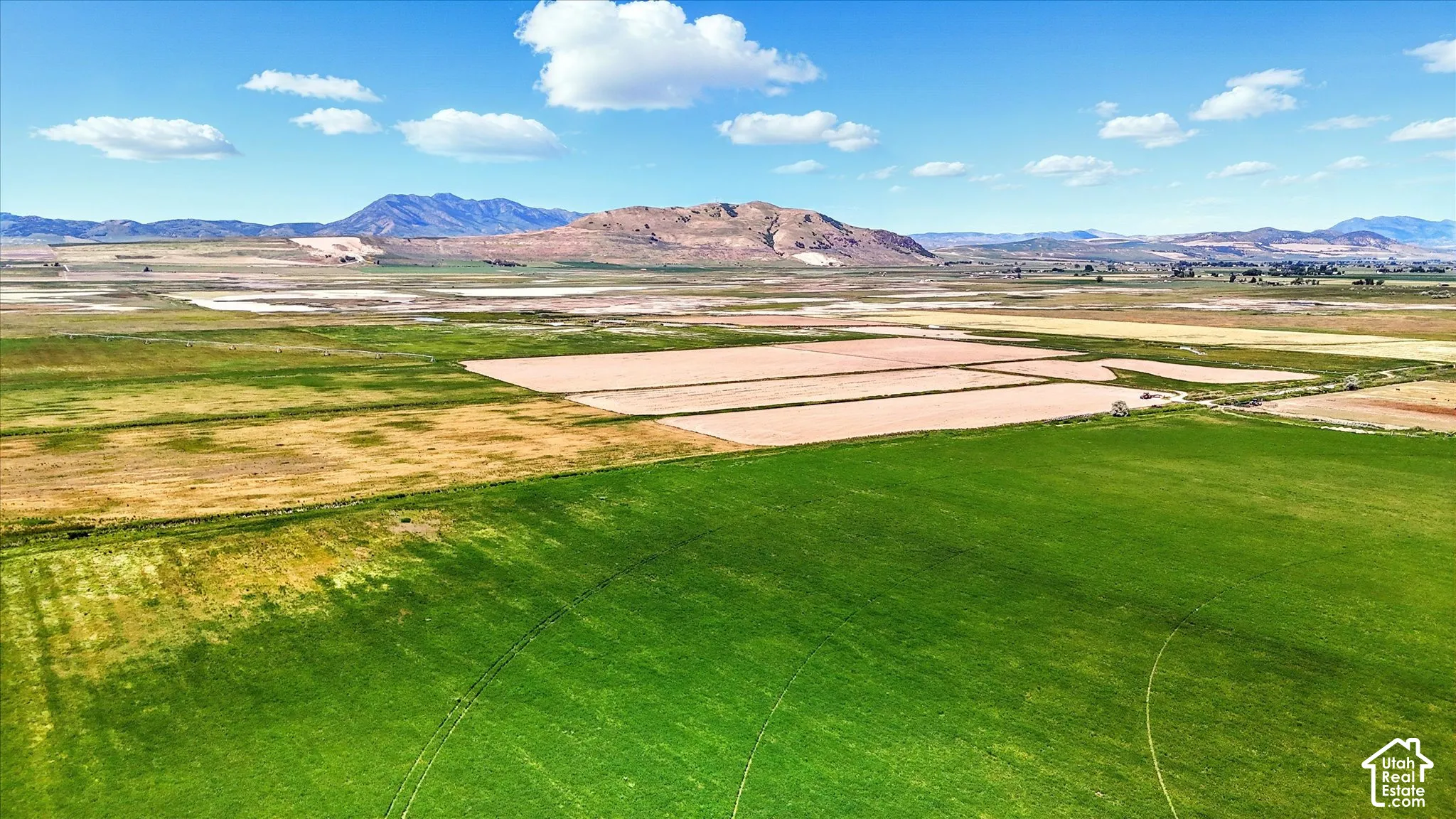 Expansive acreage featuring irrigated green pastures, leveled ground, and prominent mountain backdrops