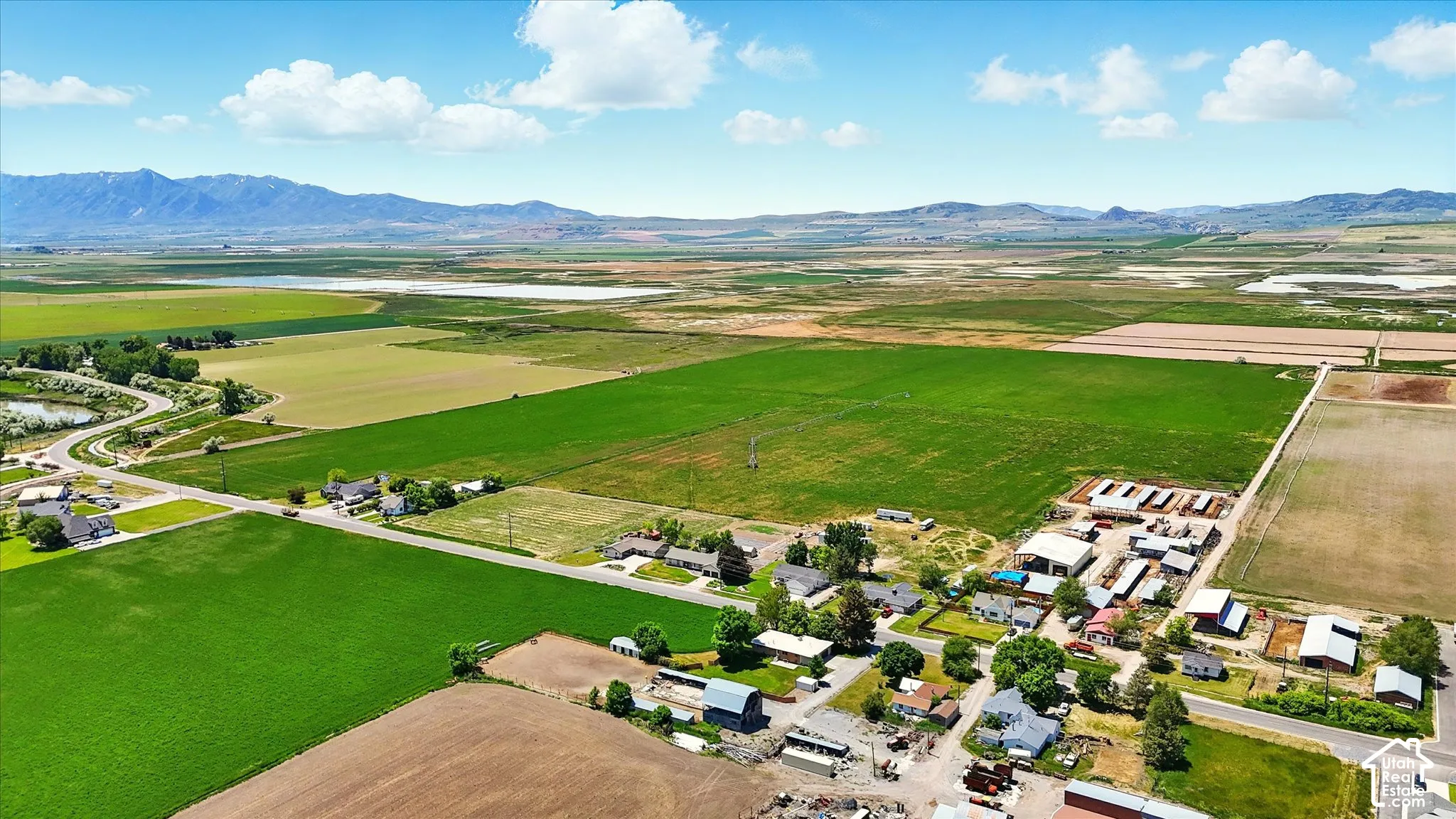 Aerial perspective of expansive agricultural acreage featuring open pastoral fields, mature tree clusters, and distant mountain backdrops