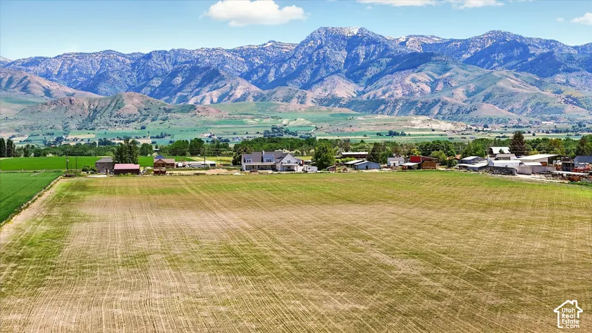 Expansive acreage featuring open pasture land with a prominent mountain backdrop