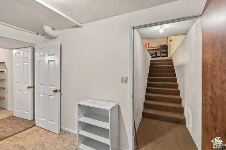 Basement Entrance From Garage