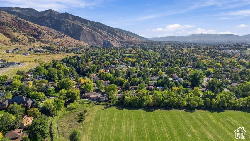 Area Aerial View