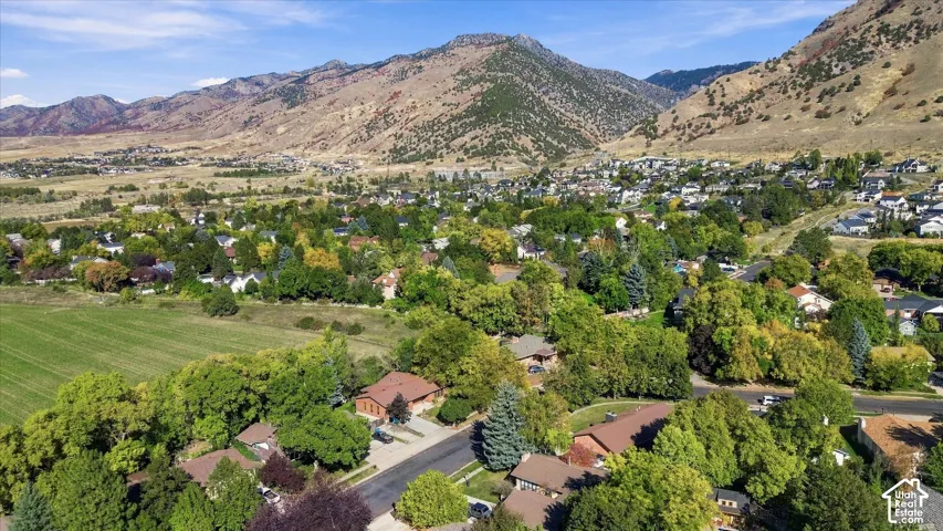 Area Aerial View