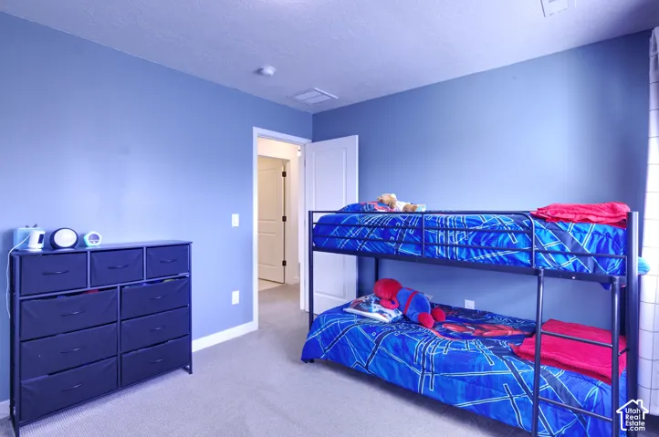 Interior room featuring blue painted walls, neutral carpeting, and a multi-panel interior door