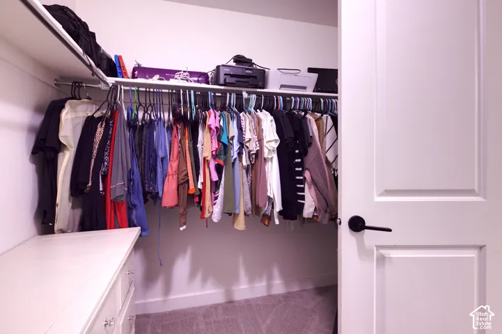 Primary Walk In Storage space featuring carpeted flooring, white built-in shelving, a full-length clothing rod, a white solid-core door, and matte black hardware