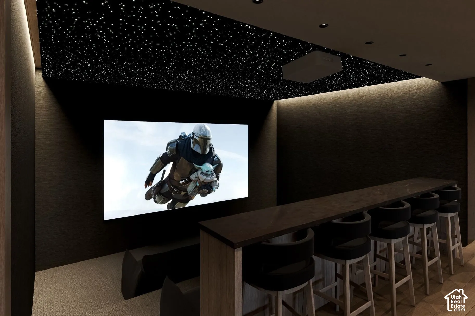 Dedicated theater room featuring a starlit fiber-optic ceiling, tiered floor levels, built-in projector housing, and a custom bar-height counter with integrated task lighting