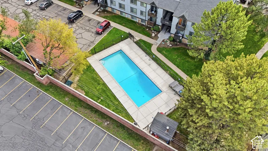 Outdoor swimming pool with concrete decking, surrounding perimeter fencing, and established mature trees