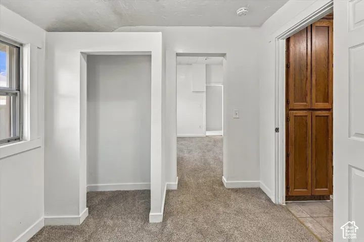 Wall-to-wall carpeting, recessed alcove, and tall wood-finish built-in cabinetry
