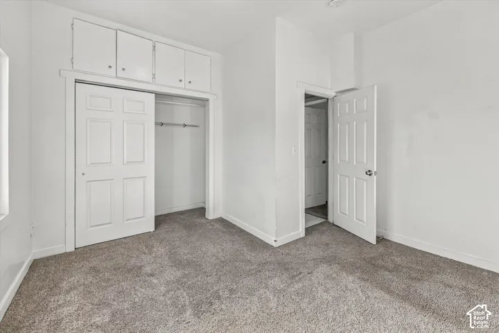Interior room featuring wall-to-wall carpeting, a walk-in closet with overhead built-in cabinetry, and white six-panel doors