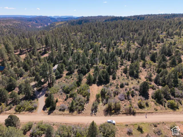 Expansive wooded lot featuring mature pine trees, natural topography, and distant mountain terrain