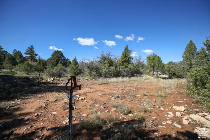 Water line on property