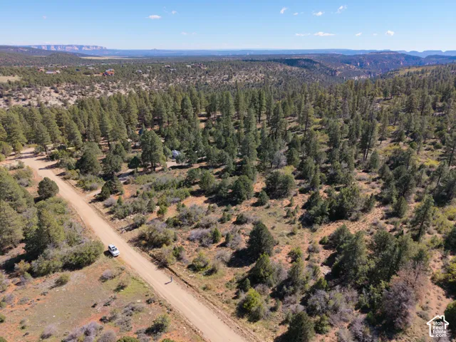 Expansive acreage featuring mature pine forest, native desert landscaping, and mountain horizon scenery