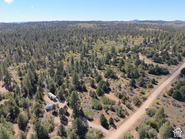 Expansive acreage featuring dense evergreen timber, natural desert landscape, and direct access to an unpaved road