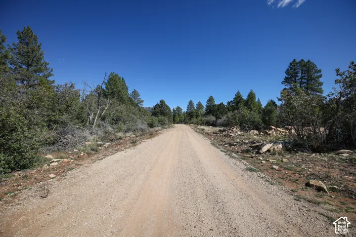 Gravel access road featuring native vegetation, pine trees, and natural rock outcroppings