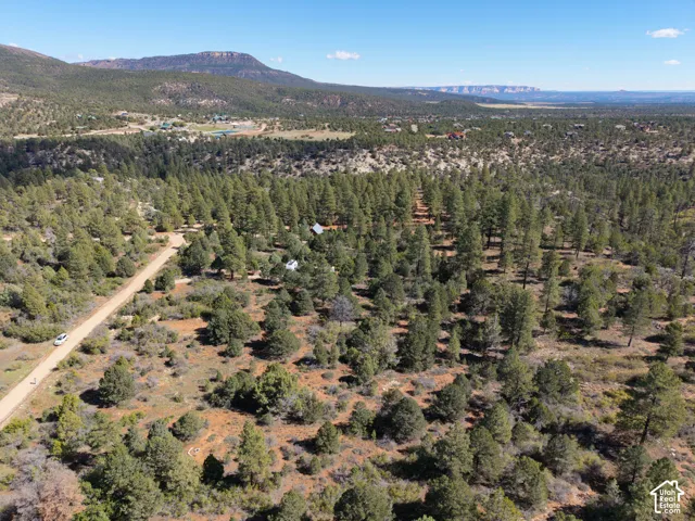 Expansive acreage featuring dense evergreen timber, native brush, unpaved road access, and mountainous topography