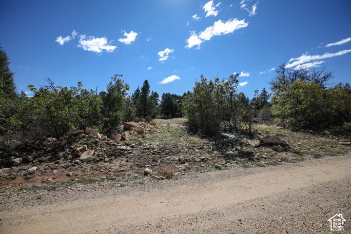 View of property