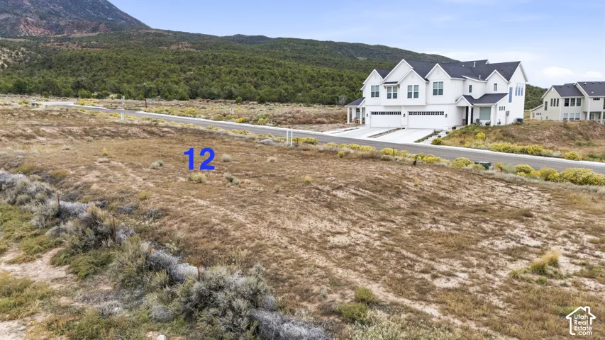 Undeveloped lot featuring native vegetation and a prominent mountain backdrop