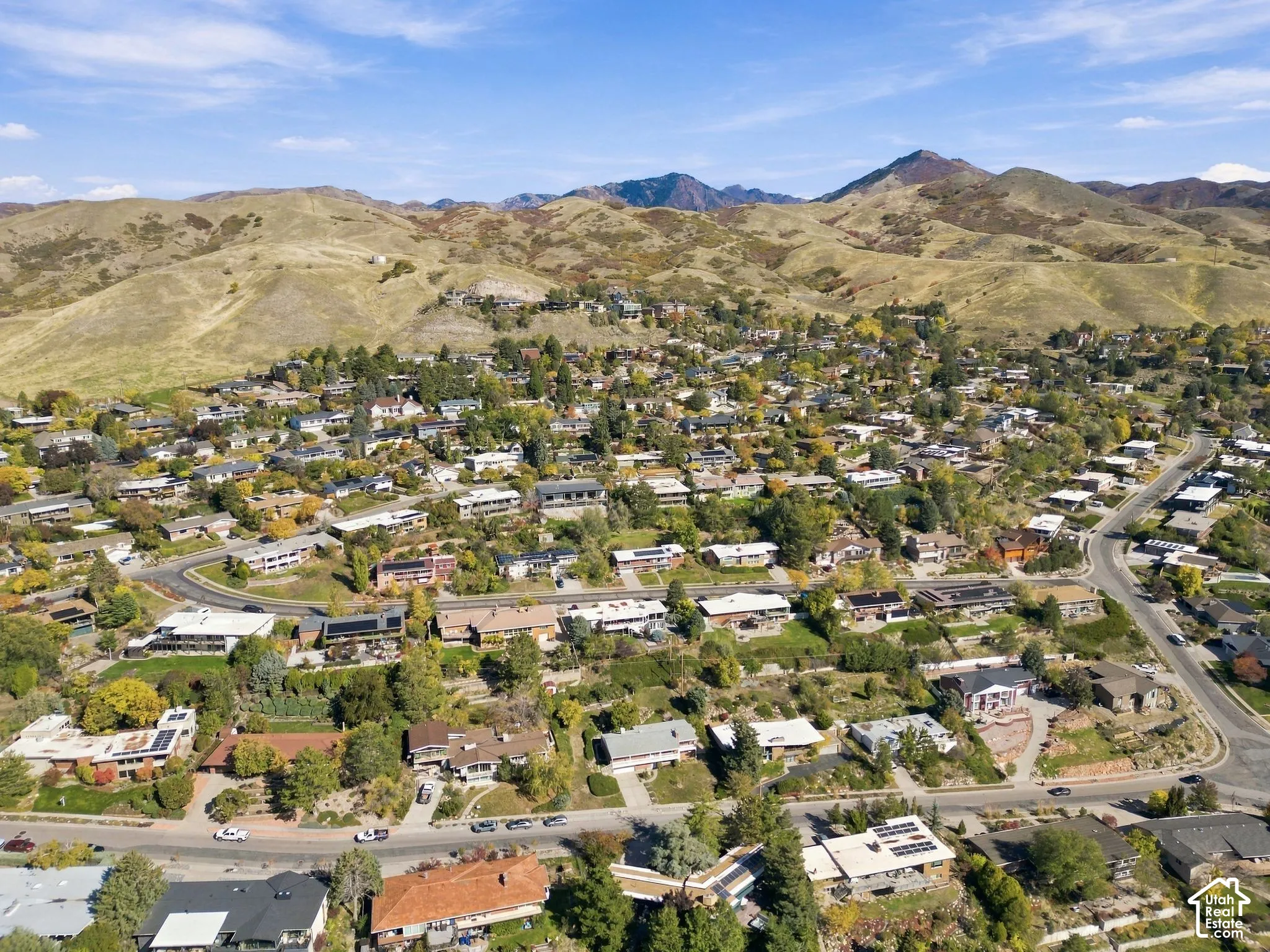 Aerial perspective of the residential area featuring established tree canopy and prominent mountain range backdrop