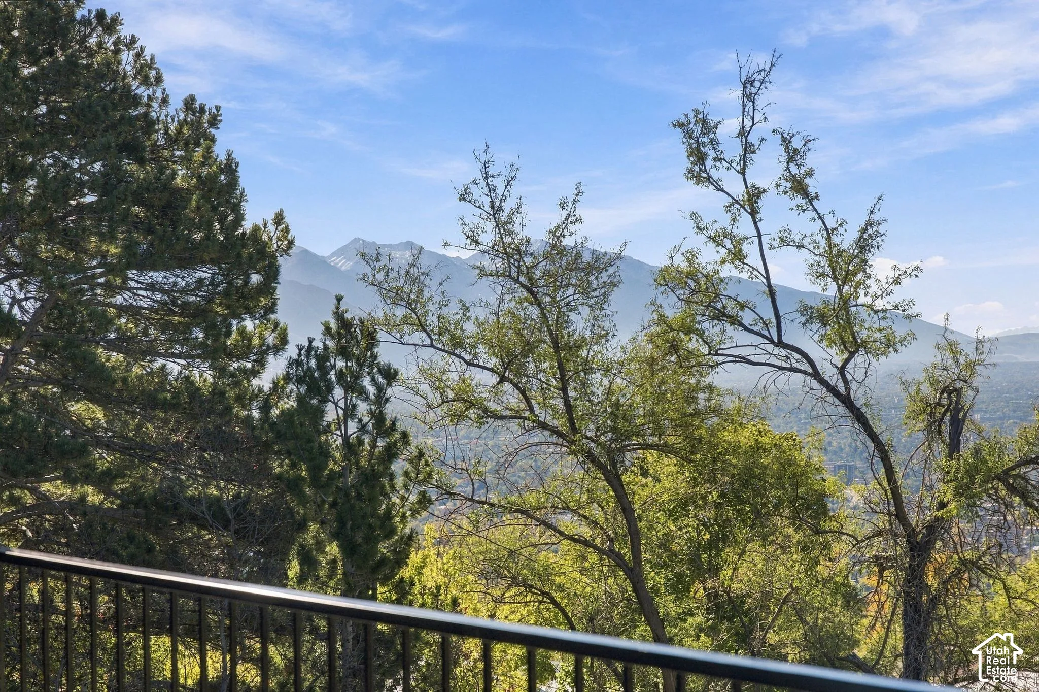 Black metal railing overlooking a mountain range and dense mature trees