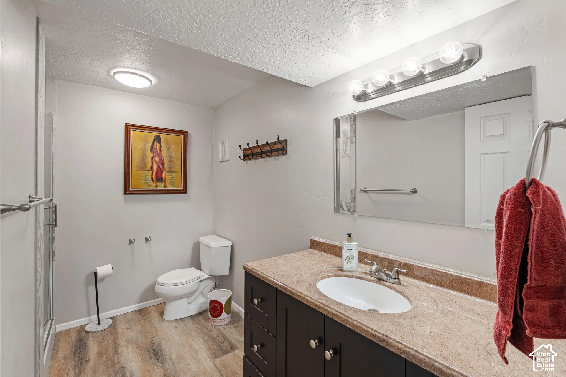 Dark wood-finish cabinetry, stone-composite countertop with integrated oval sink, wood-finish flooring, and wall-mounted vanity lighting