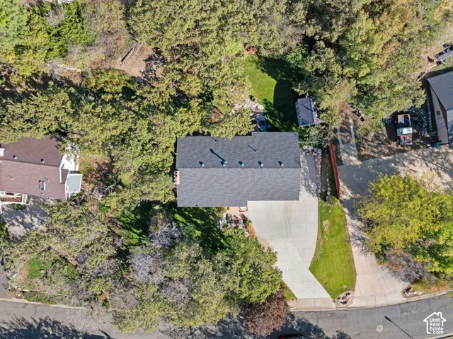 Aerial perspective featuring a shingled roof, concrete driveway, and mature landscaping with expansive tree cover