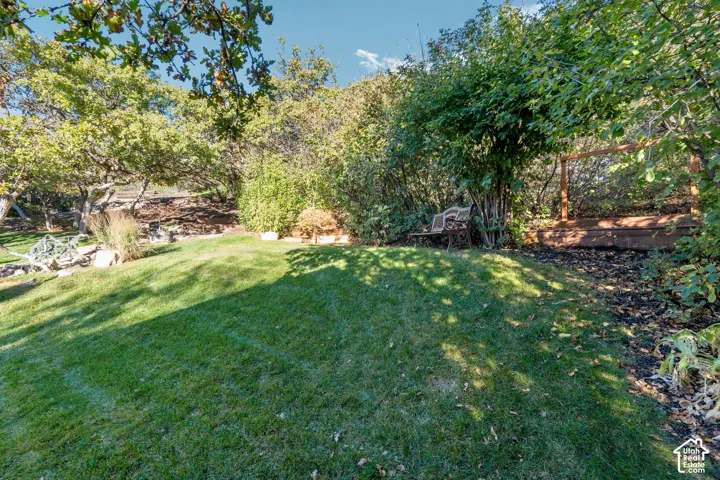 Expansive backyard featuring a tiered lawn, mature deciduous trees, natural rock accents, and raised garden beds