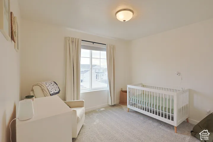 Neutral-toned bedroom featuring plush carpeting, a large sliding window, and a semi-flush mount ceiling fixture