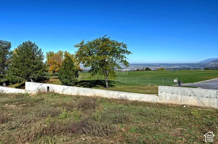 Concrete retaining wall bordering a landscape of mature trees, natural vegetation, and an expansive grass expanse