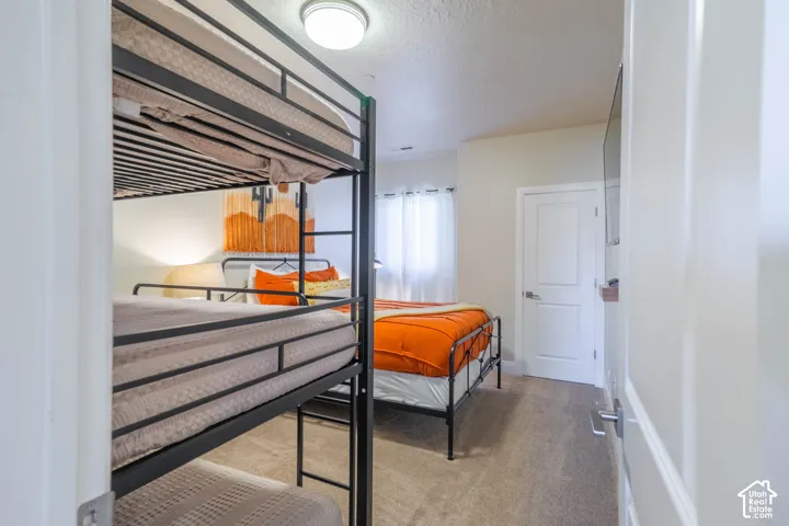 Room featuring neutral-toned carpeting, a flush-mount ceiling light fixture, and a solid-core interior door