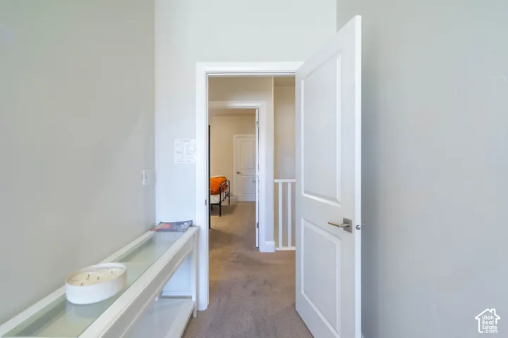 Interior hallway featuring neutral wall paint, white-painted solid-core doors with brushed-metal lever handles, and neutral-toned wall-to-wall carpeting