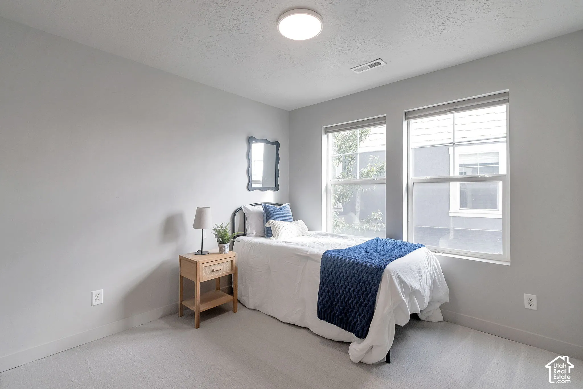 Neutral-toned walls, carpeted flooring, two dual-pane windows, and a flush-mount overhead light fixture