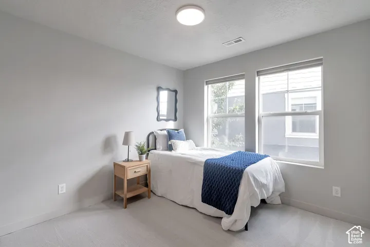 Neutral-toned walls, carpeted flooring, two dual-pane windows, and a flush-mount overhead light fixture