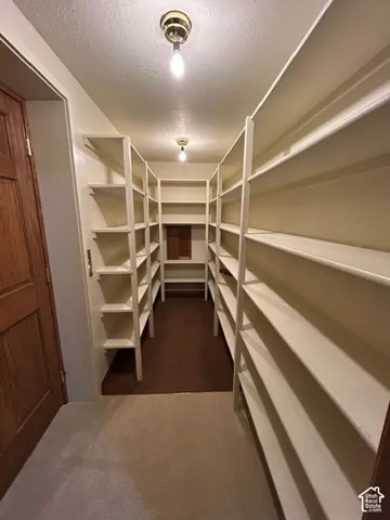 Downstairs Storage area featuring floor-to-ceiling built-in white shelving, solid wood door, and overhead lighting