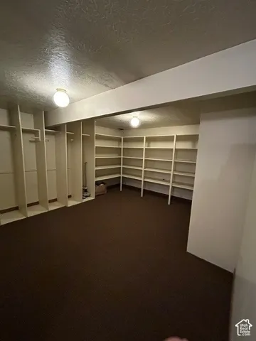 Spacious downstairs storage room featuring wall-to-wall carpeting, floor-to-ceiling built-in shelving, vertical closet dividers, and overhead globe lighting