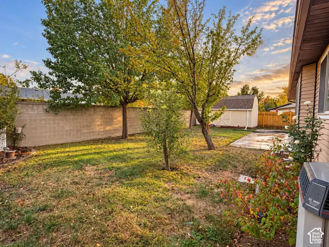 Backyard featuring a concrete patio, detached storage shed, mature trees, and perimeter concrete masonry wall