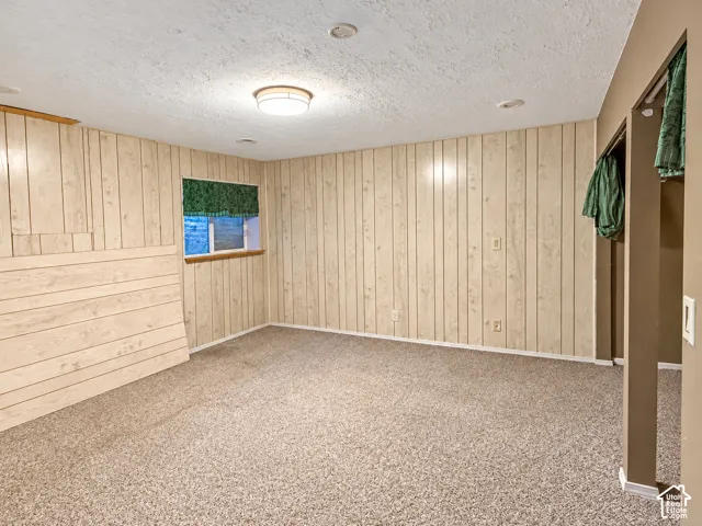Interior space featuring vertical wood paneling, horizontal plank wall accent, neutral carpeting, and a flush-mount ceiling light fixture