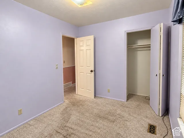 Interior room featuring neutral carpeting, a built-in closet with double-panel doors, and a solid-core six-panel door