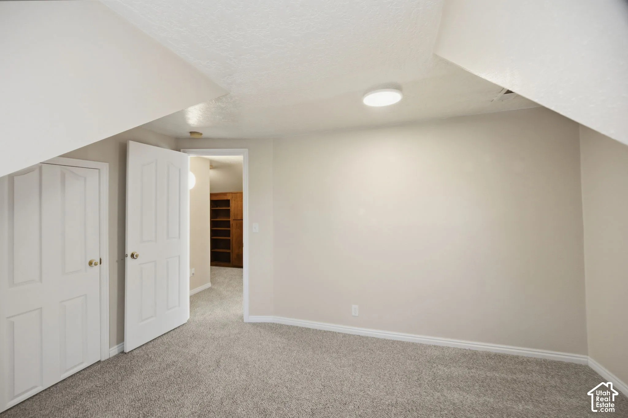 Neutral wall coloring, carpeted flooring, two-panel interior doors, and flush-mount ceiling lighting