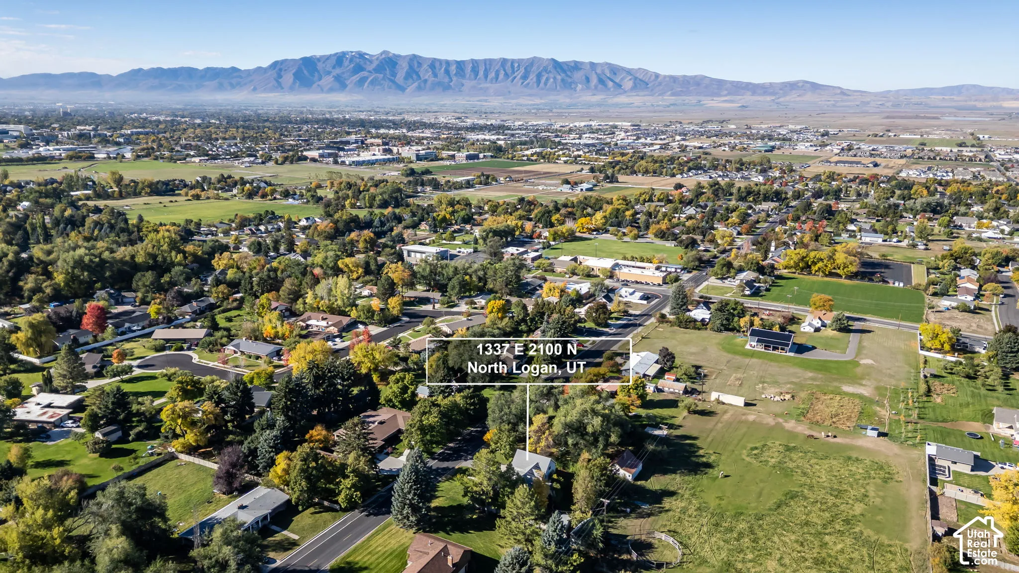 Aerial perspective highlighting an expansive residential lot featuring mature trees and a mountain range backdrop