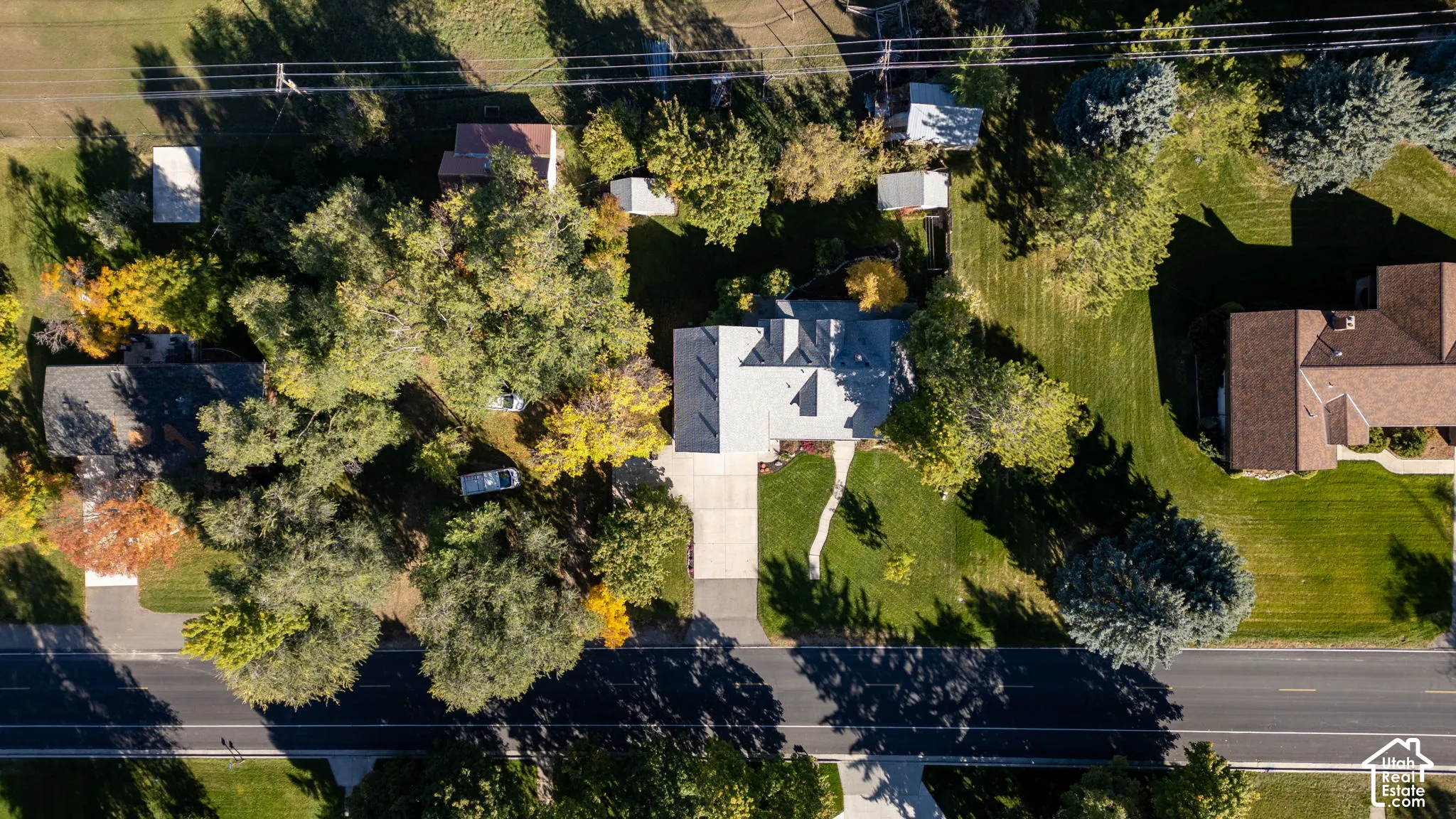 Aerial view featuring a expansive lot, mature trees, concrete driveway, and established landscaping