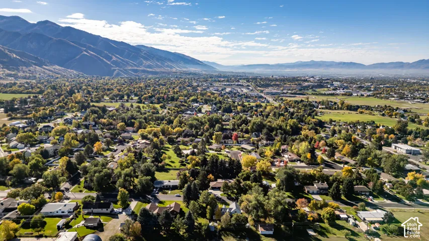 Aerial perspective featuring mountain range topography and mature tree canopy